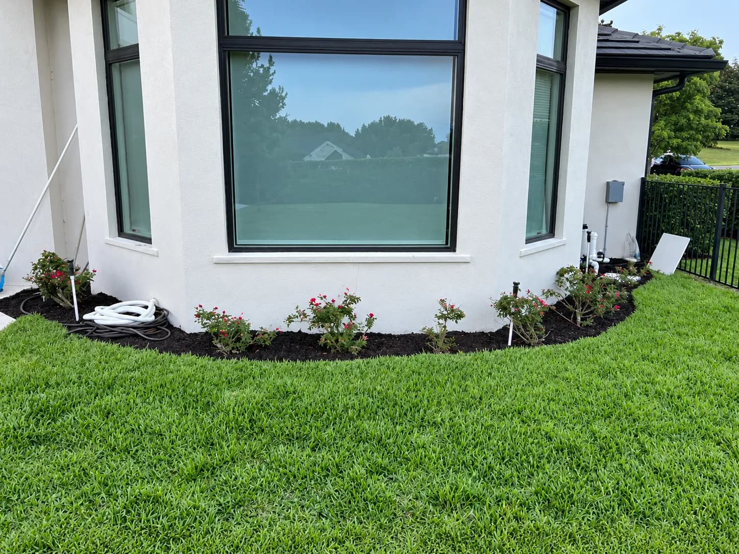 Mowed lawn and tidy bed along a white home
