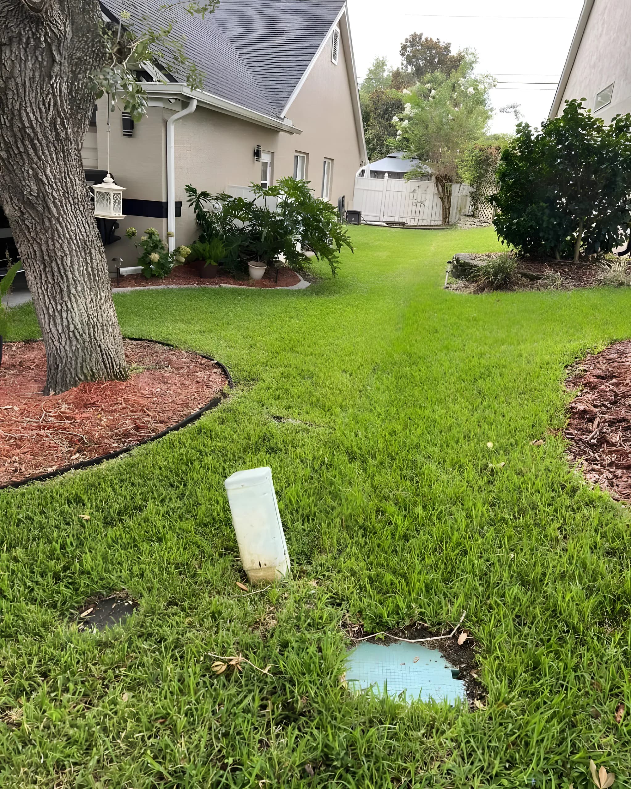 Lawn with red mulch rings around the trees