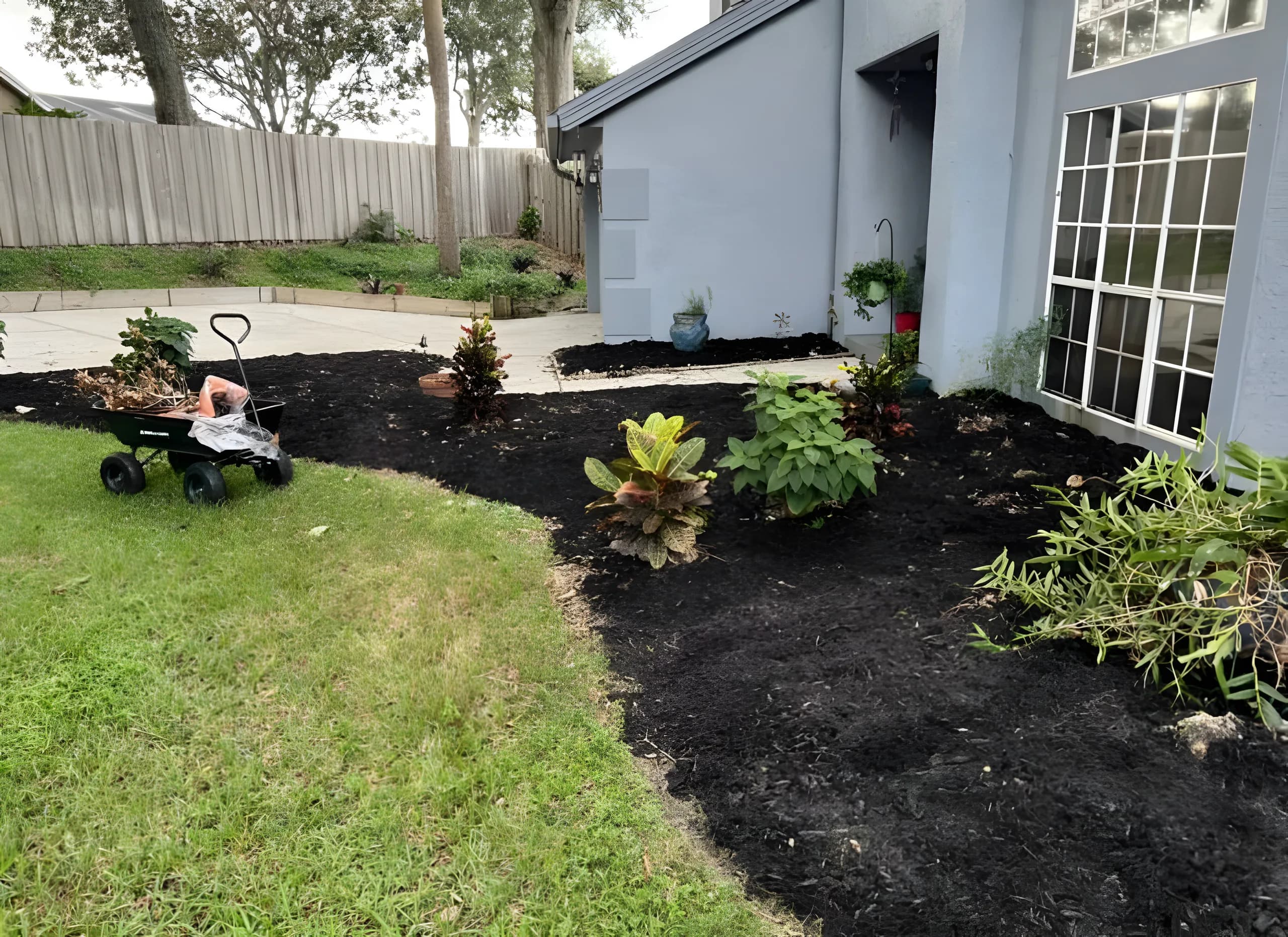 New black mulch bed with fresh plantings