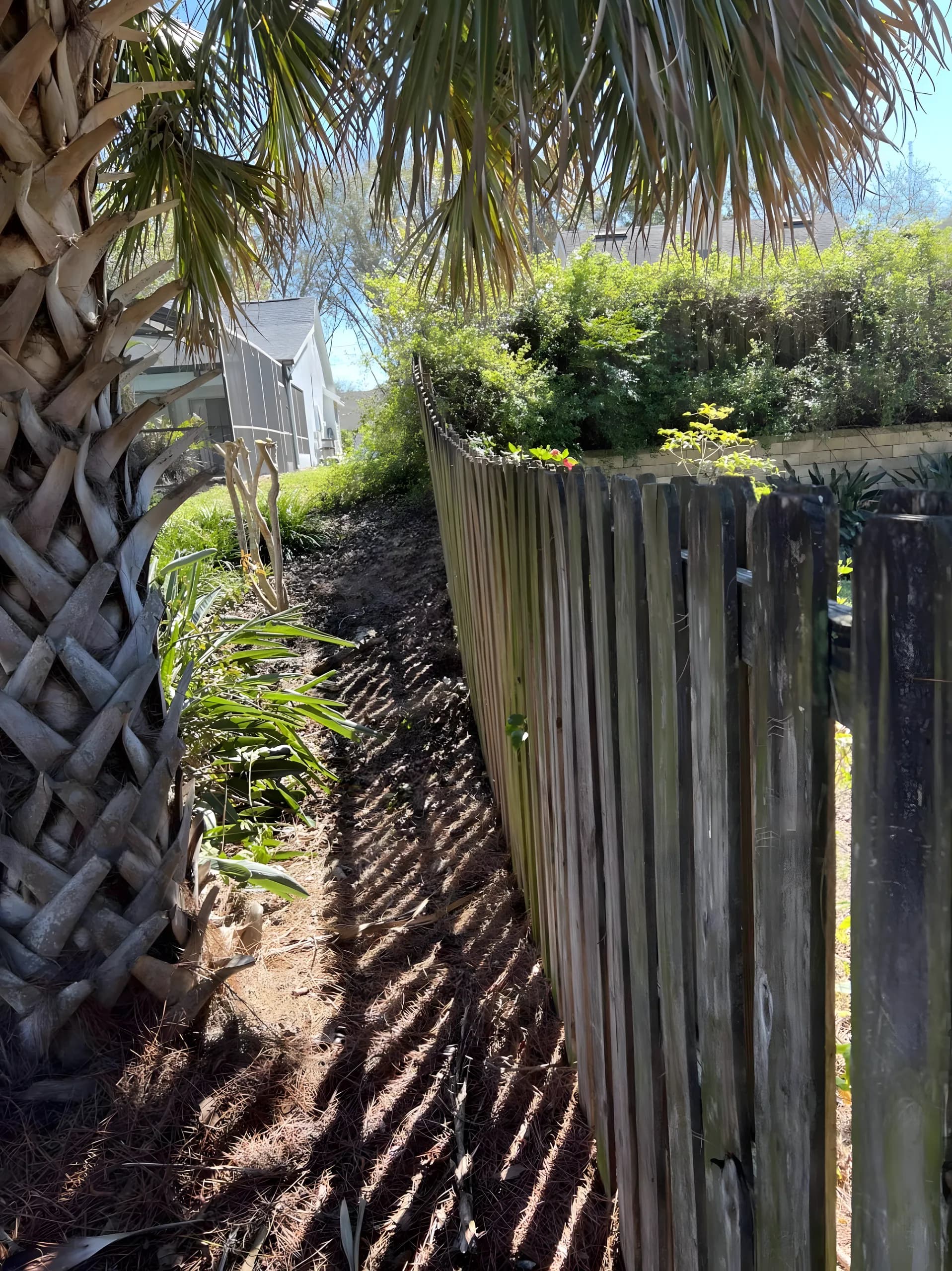 Cleared side yard along a wood fence