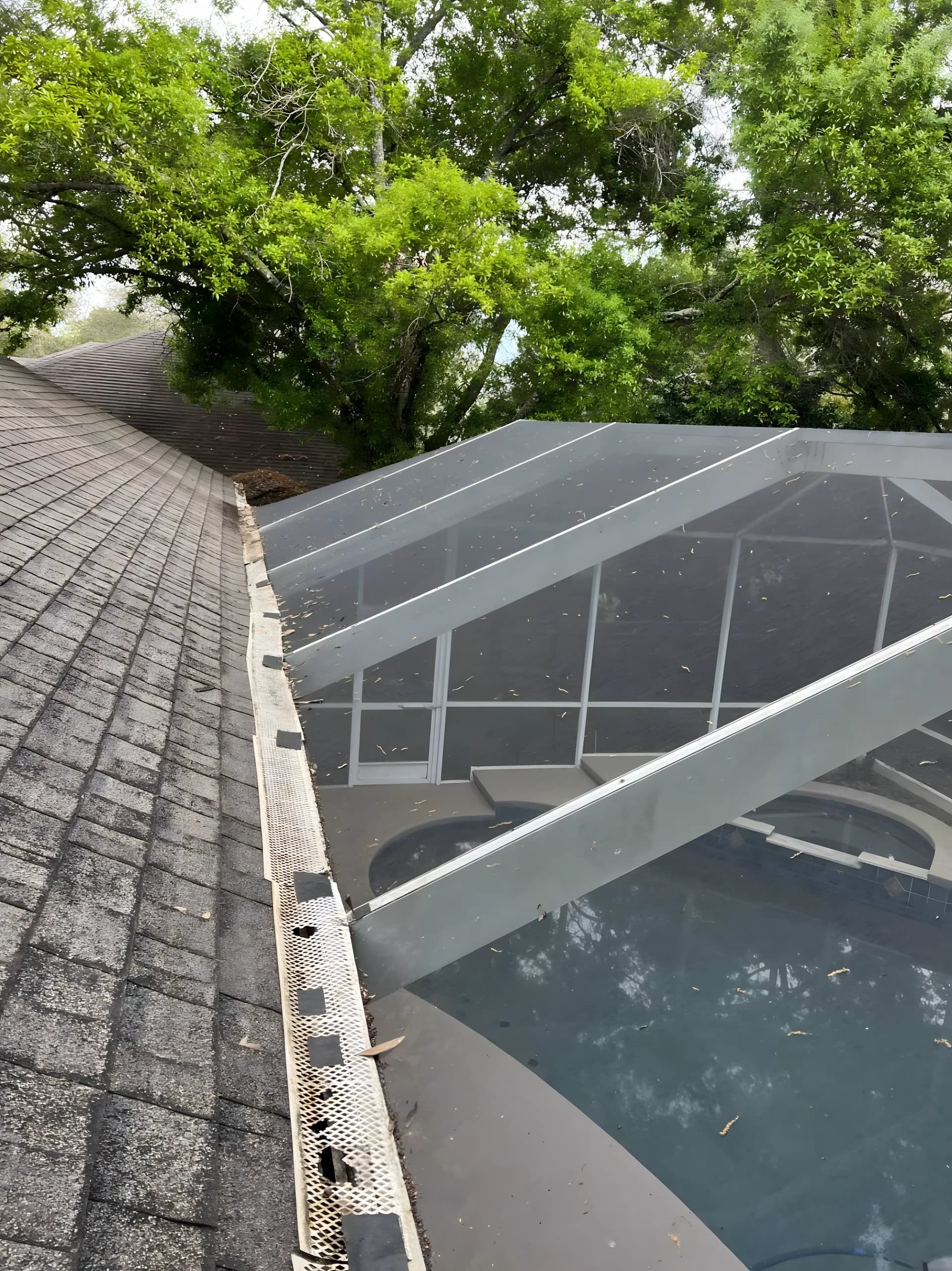Roof edge above a screened pool enclosure