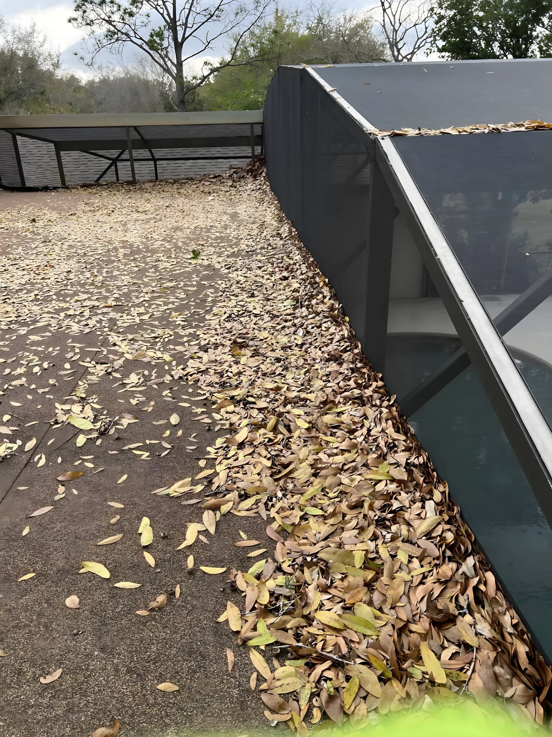 Leaves covering a screened patio before cleanup