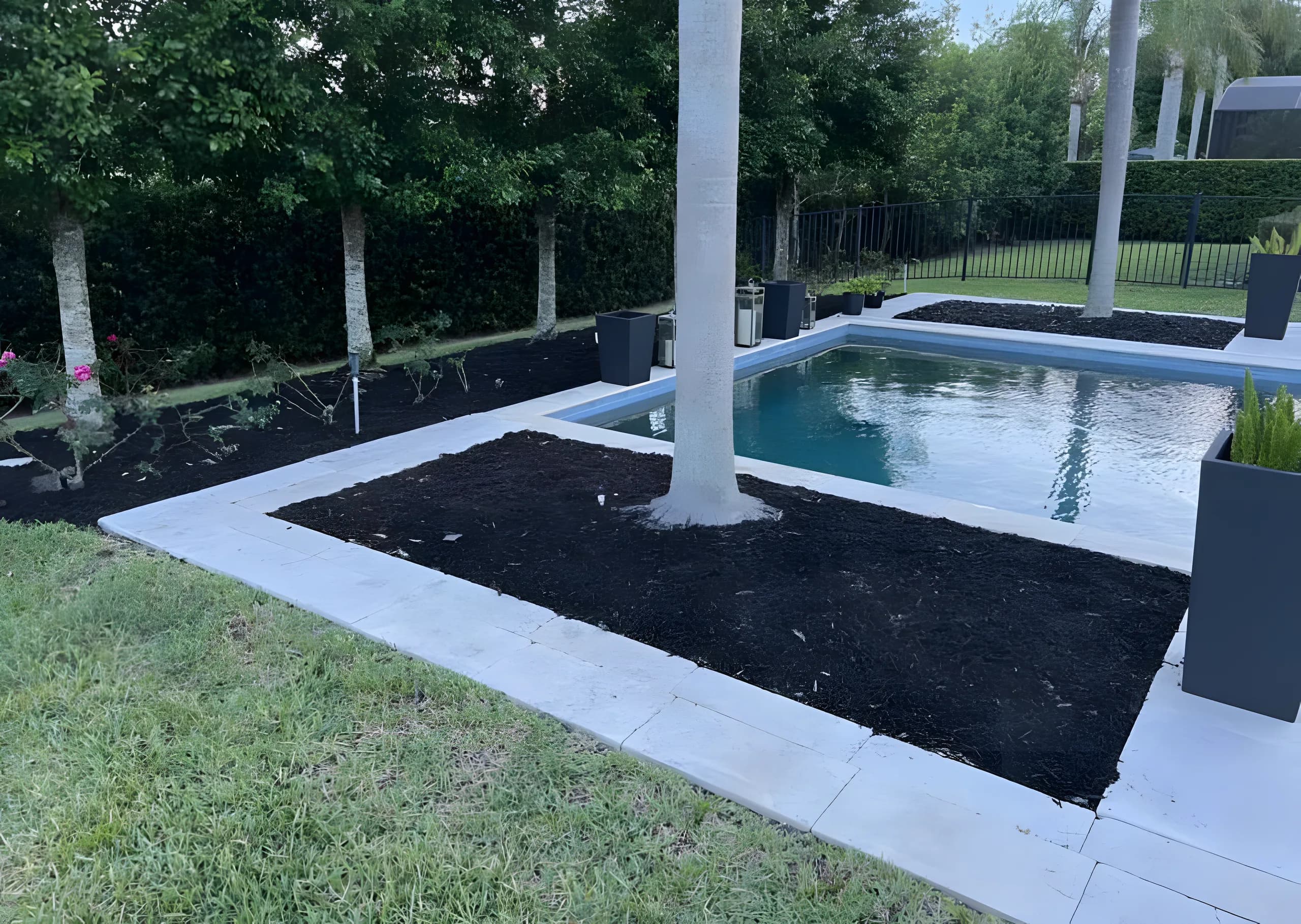 Fresh black mulch bed around a palm beside a backyard pool