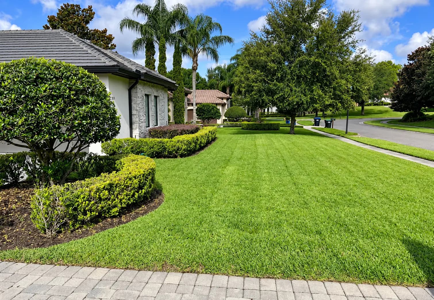 Freshly striped lawn and rounded hedges beside a paver driveway